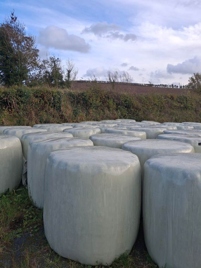 Haylage rounds 