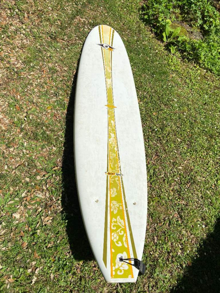 BIC Sports Surfboard - White and Green, Good Condition