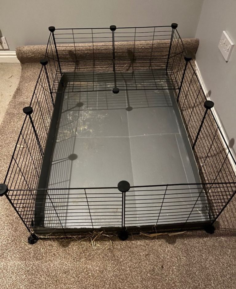 Guinea pig cage