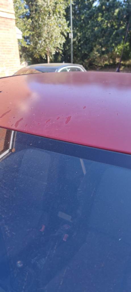Mitsubishi, COLT, Hatchback, 2009, Manual, 1332 (cc), 3 doors