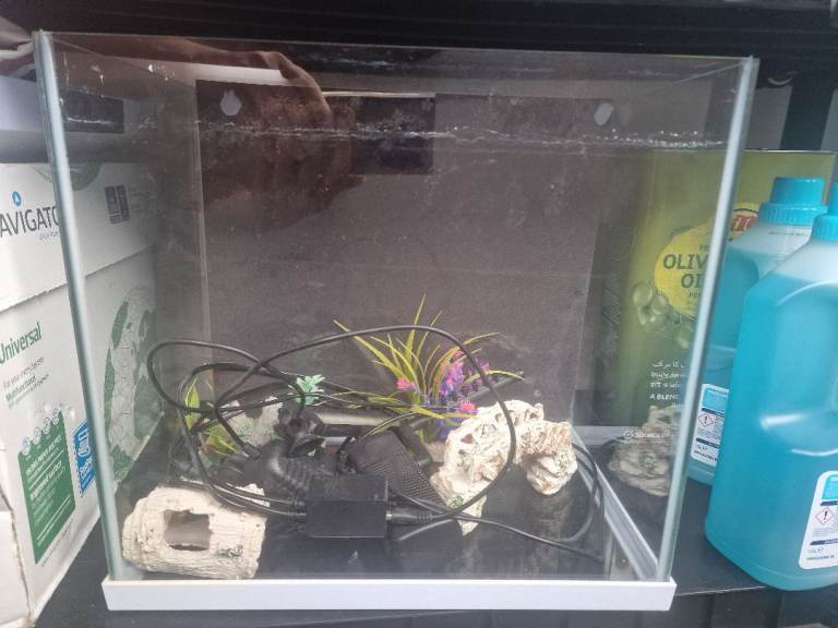 Small Glass Aquarium with Heater and Filter