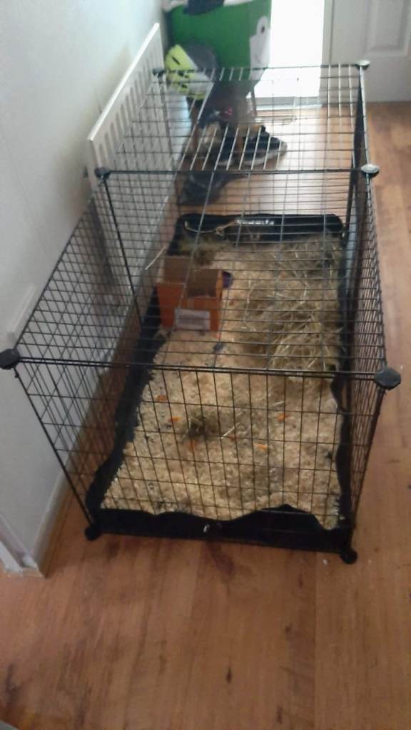 Pet cage for small animals