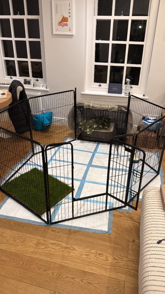 Lords and Labradors pen 