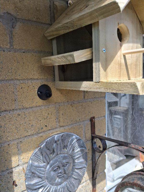 Birds box