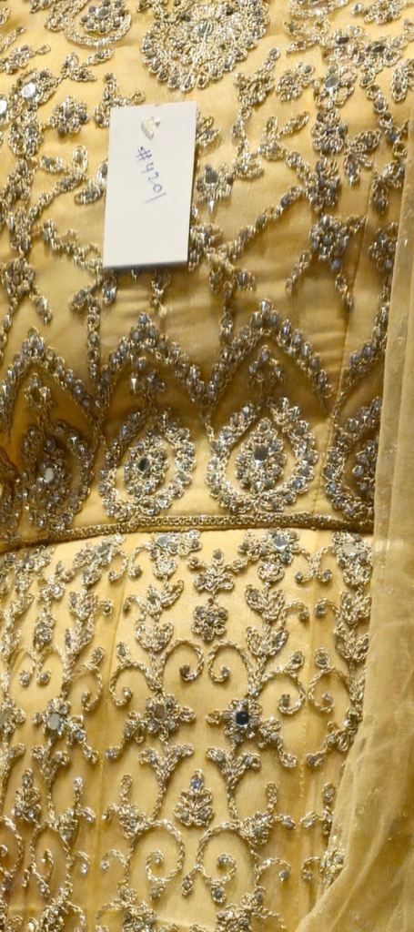 Asian wedding/party dress 