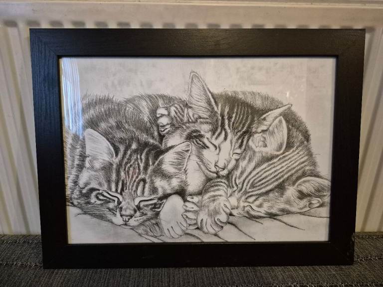 Cats Cuddling Picture Frame