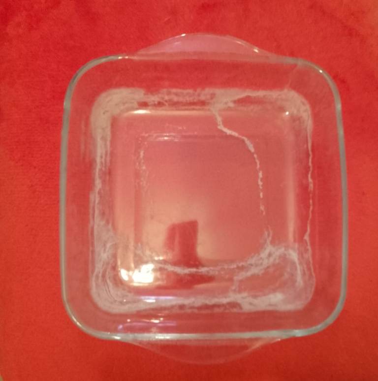 Free glass oven dish