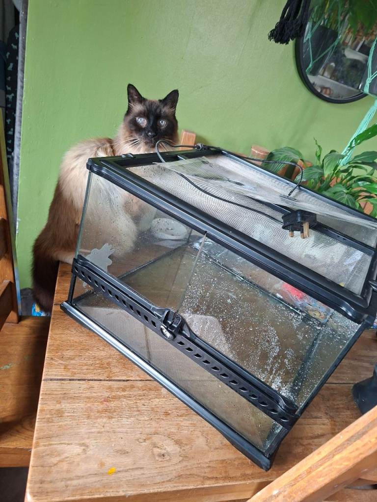 Exo tera Vivarium large 