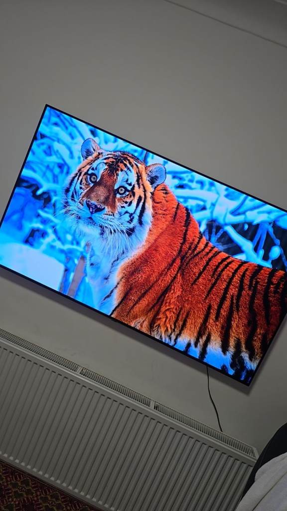 OLED LG TV 65 INCH