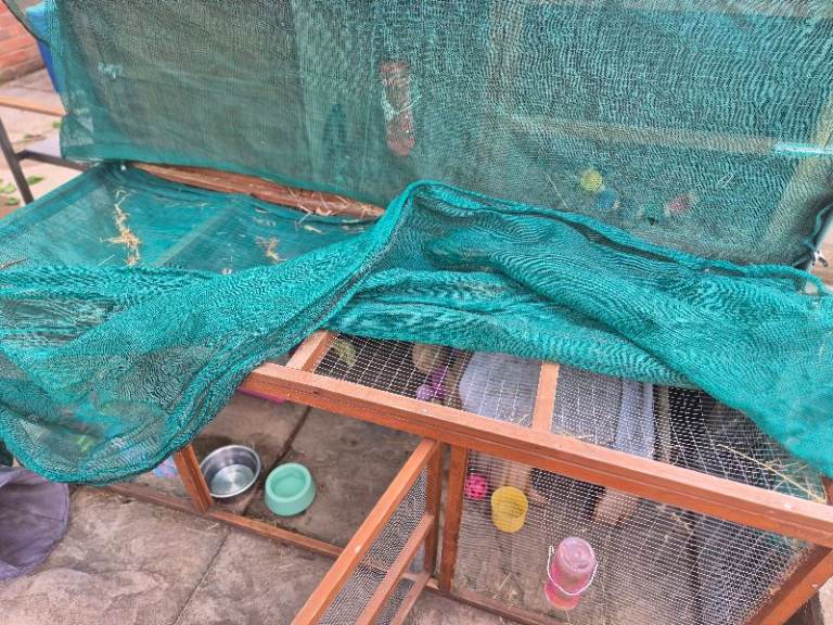 £40 xl rabbit hutch