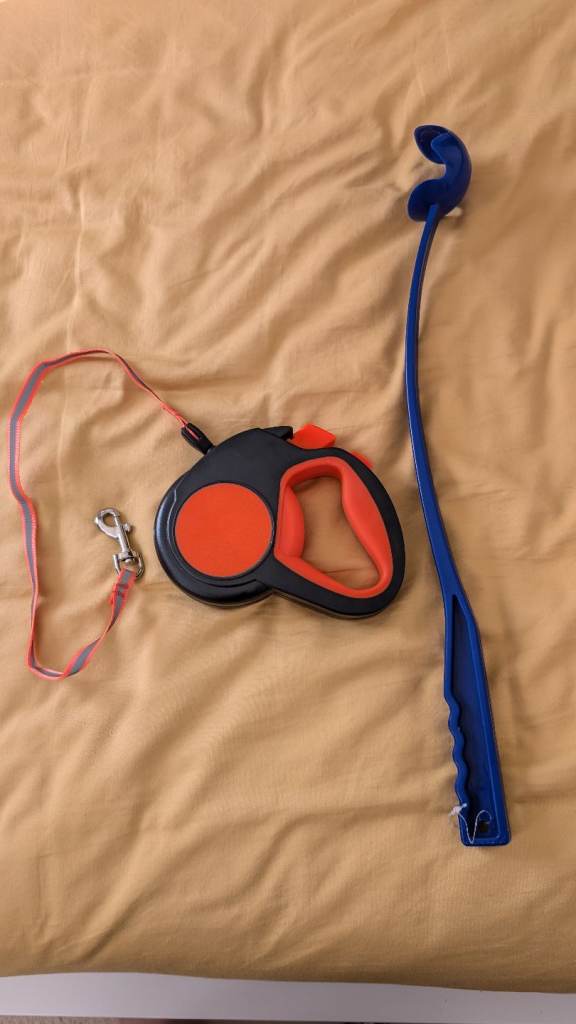 Dog lead and ball launcher