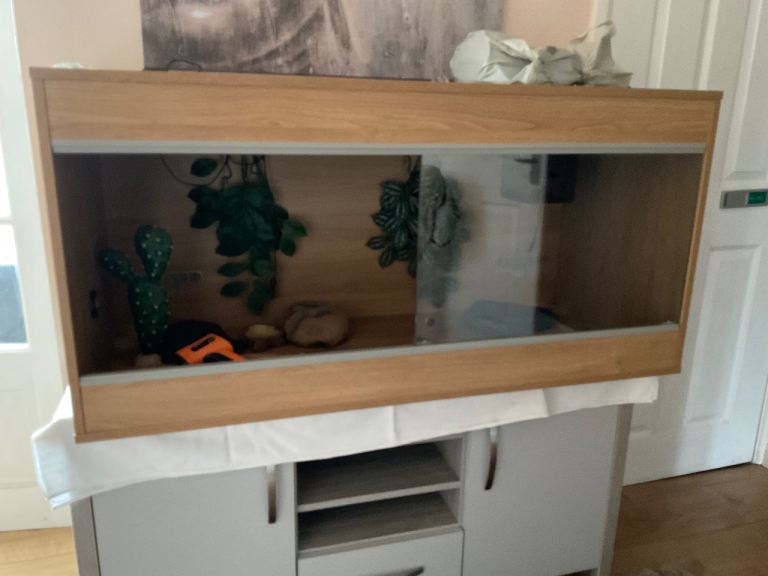 Complete Bearded Dragon Vivarium