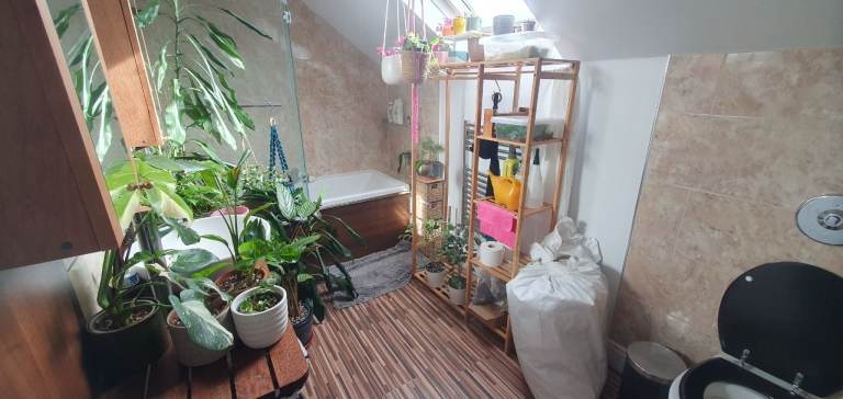 King sized room with private bathroom available in Kew Gardens