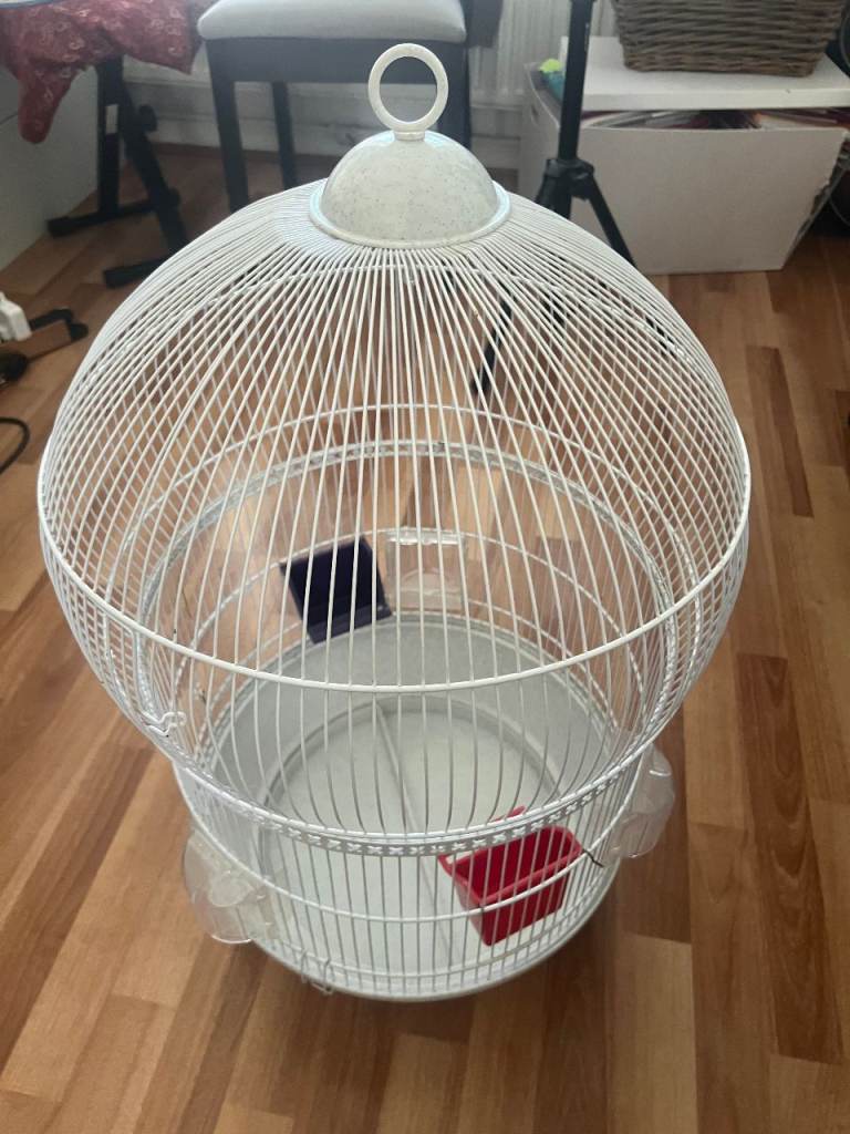 Bird Cage