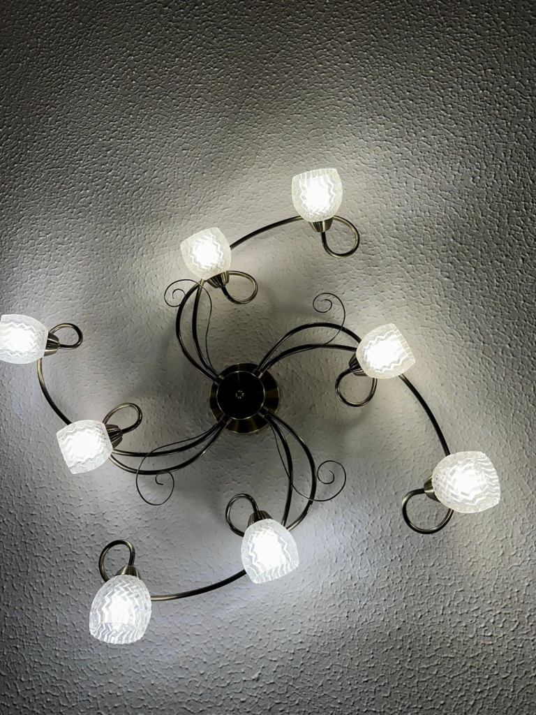 Ceiling light / chandelier 