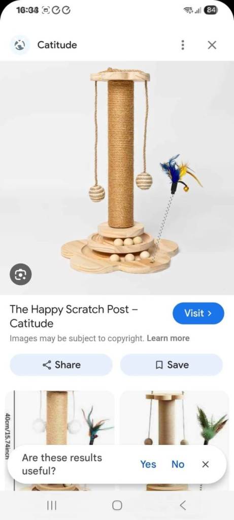 Cat scratch/play post