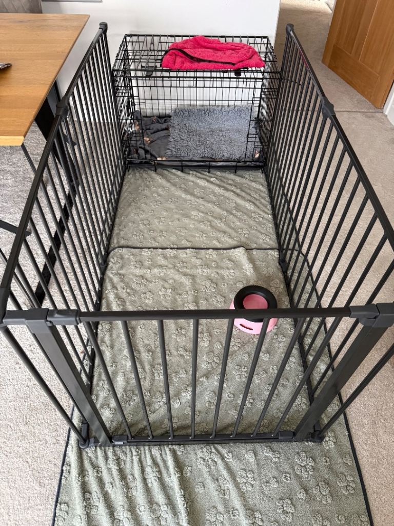 Scandinavian Pet Pen with Wall Fittings