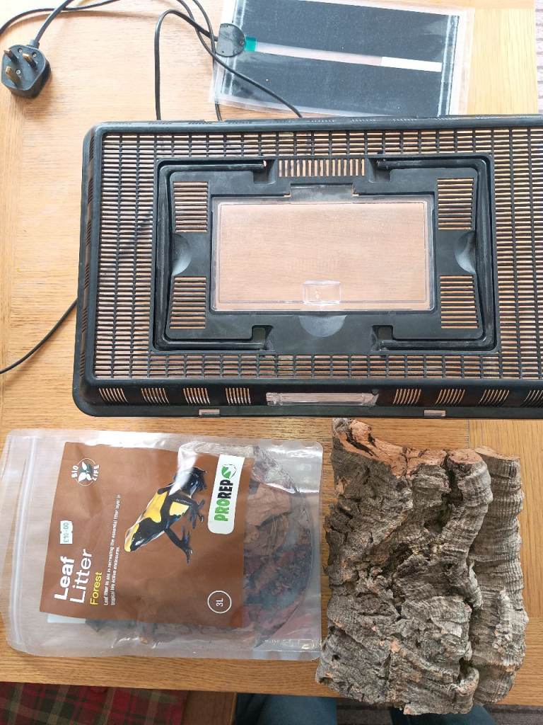 Small Reptile Vivarium 16" x 10" w/ Heat Mat, Log and Leaf Mix