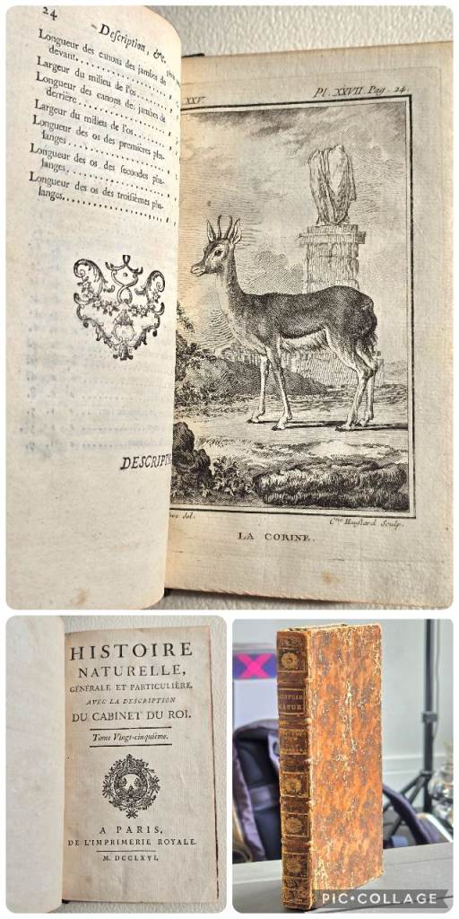 1776 Antique Georgian Natural History French Leatherbound Book -250 Y/O w/engraved plates Tome 24 