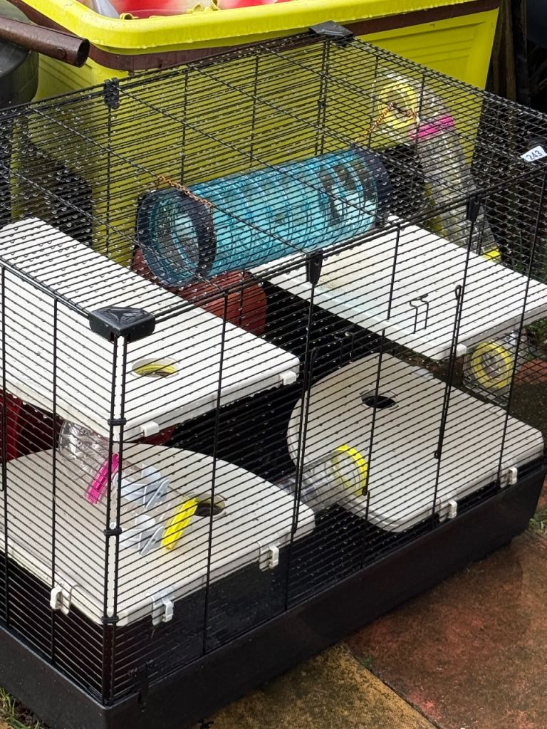 Rat cage 