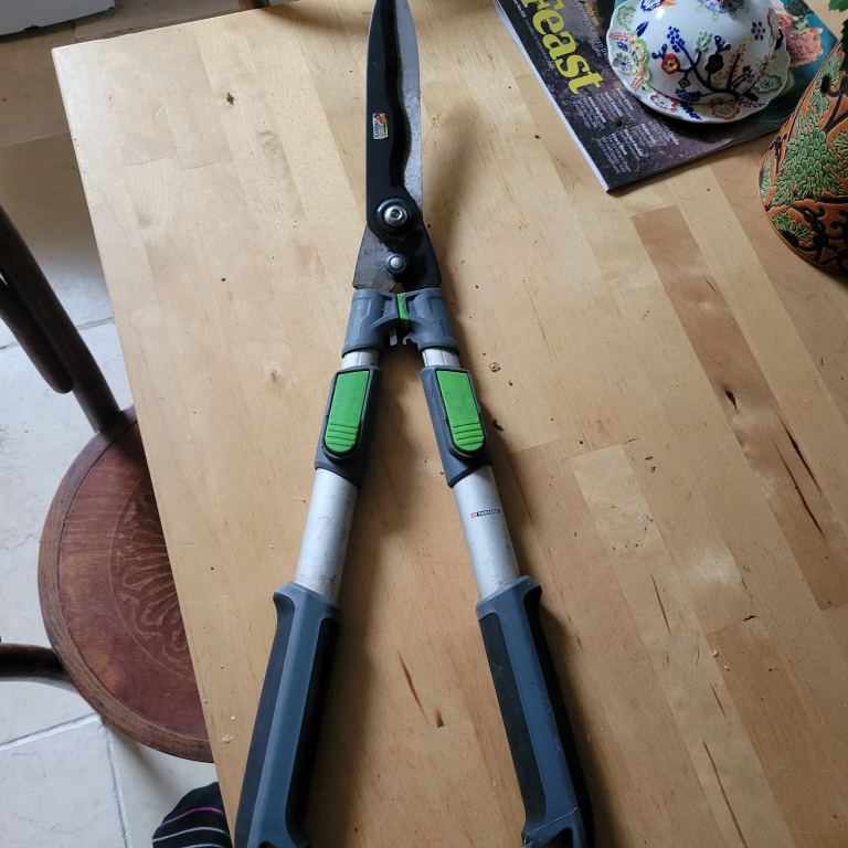 Parkside Extendable Garden Shears