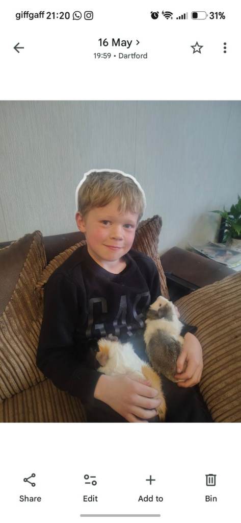 2 Guinea pigs with cage setup 5 months old 