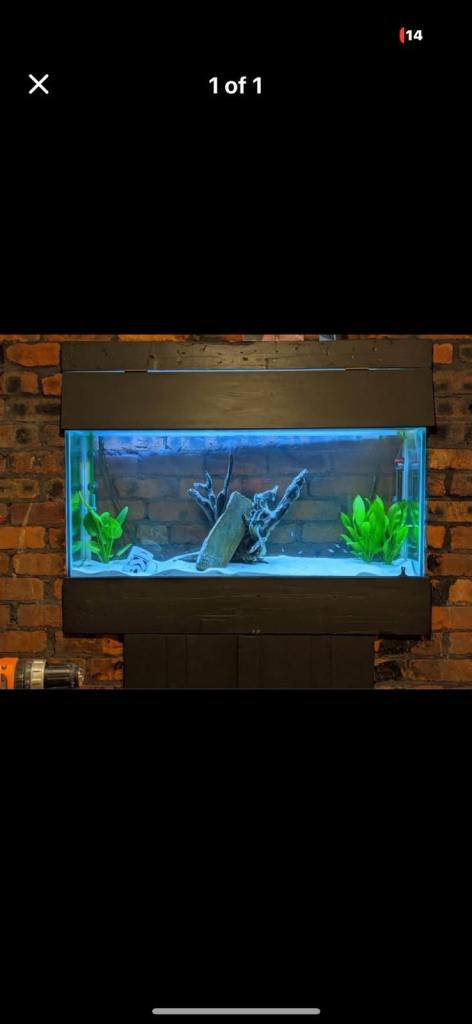 4ft Fish tank/aquarium with all accessories