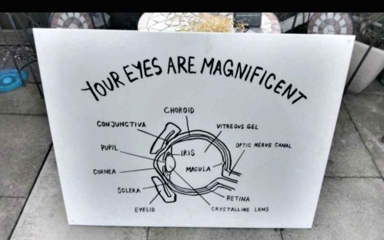 Ex optician wall sign 110 cms your eyes are magnificent cool