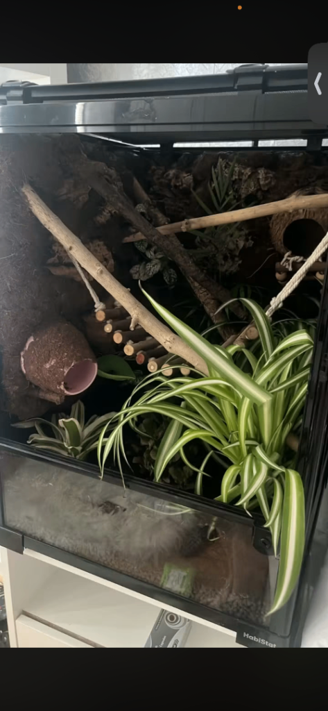 Fully bioactive tank