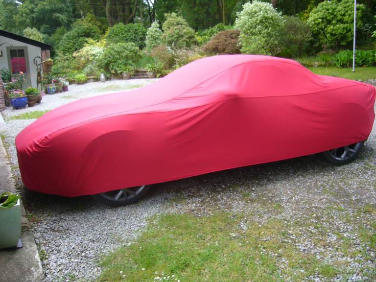 Cosmos Indoor Car Cover - medium