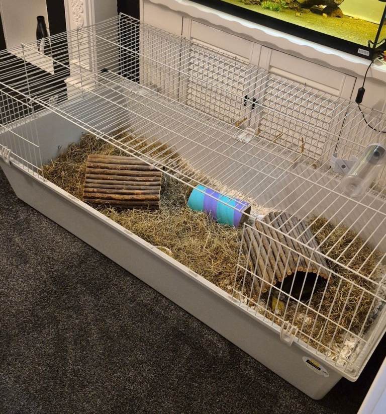 Rabbit/Guinea Pig Indoor Cage 160