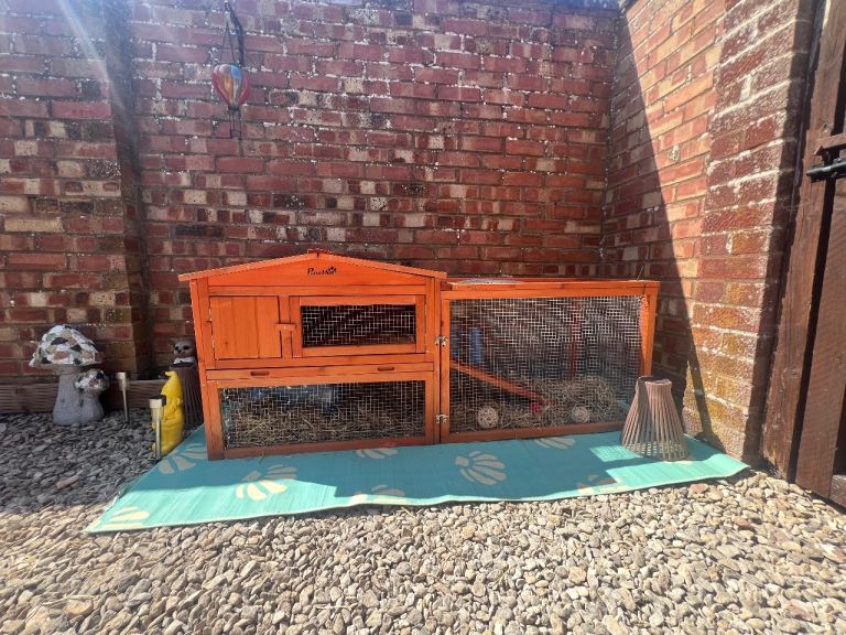 Guinea Pig/Rabbit outdoor hutch/indoor hutch/play pen/food/hay/bedding etc