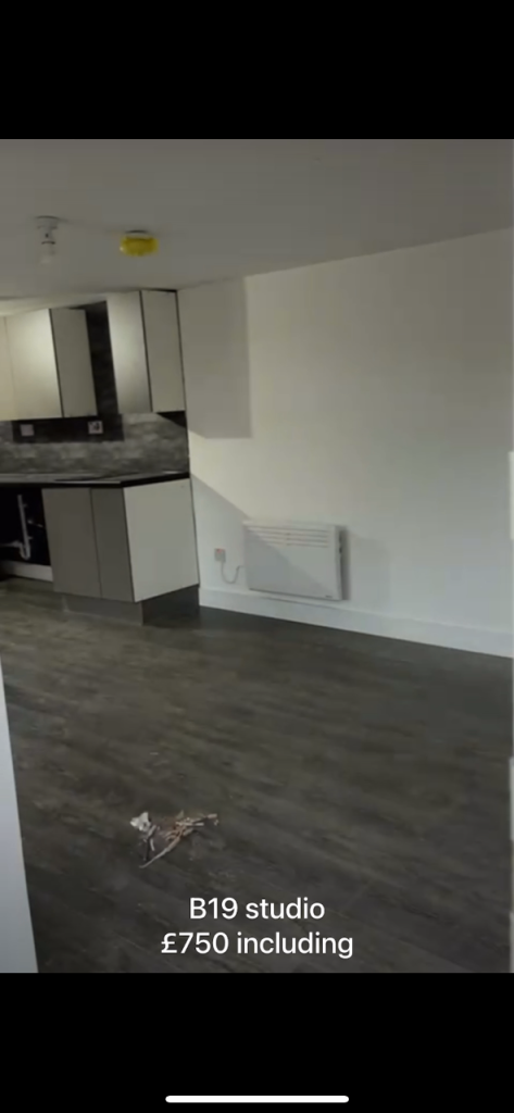 B19 Studio flat £750 all inc - wil be furnished!