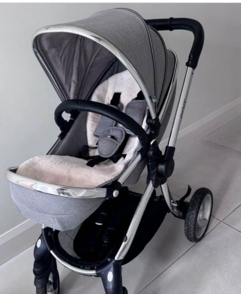 Egg travel system