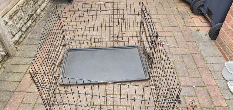 Dog pens 