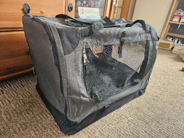 Pet carrier for small dog / puppy / cat 