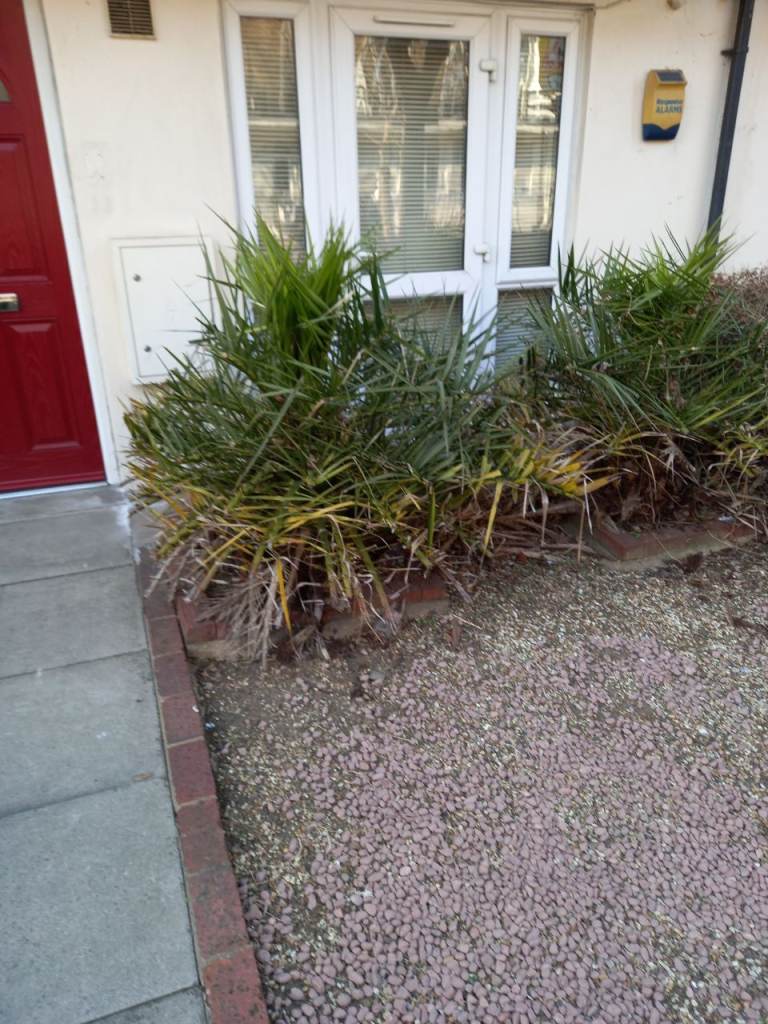 CENTRAL LONDON GARDEN FLAT - SOUTH BANK - LOOKING FOR BOURNEMOUTH 1 BED.