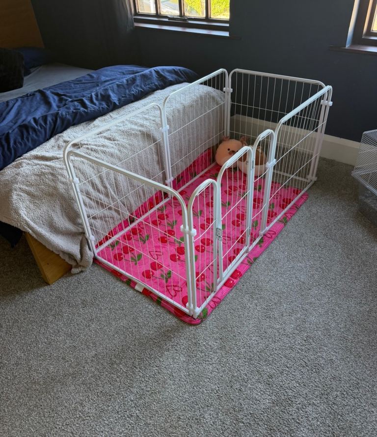 Puppy pen and mat 