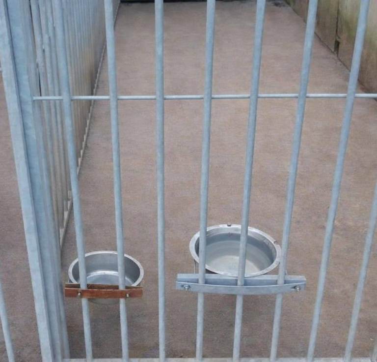 Galvanised Steel Dog Run