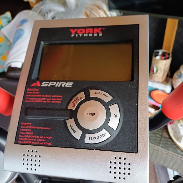 York fitness trainer 