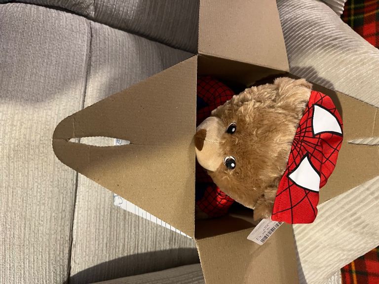 Build a bear ( Spider-Man costume)