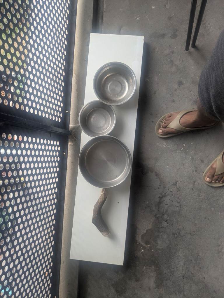 Feeding Drinking Utensils for Pet