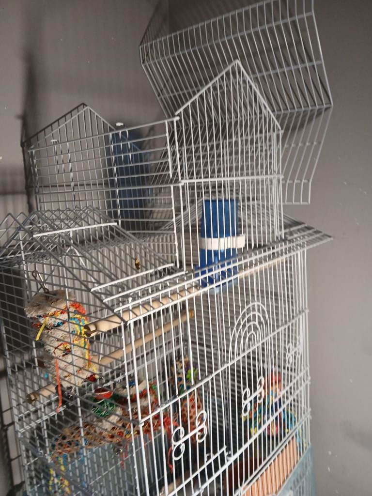 Large bird cage