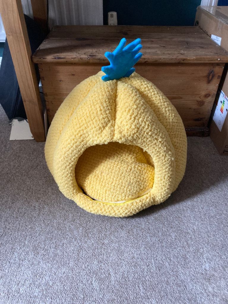 Pineapple cat bed
