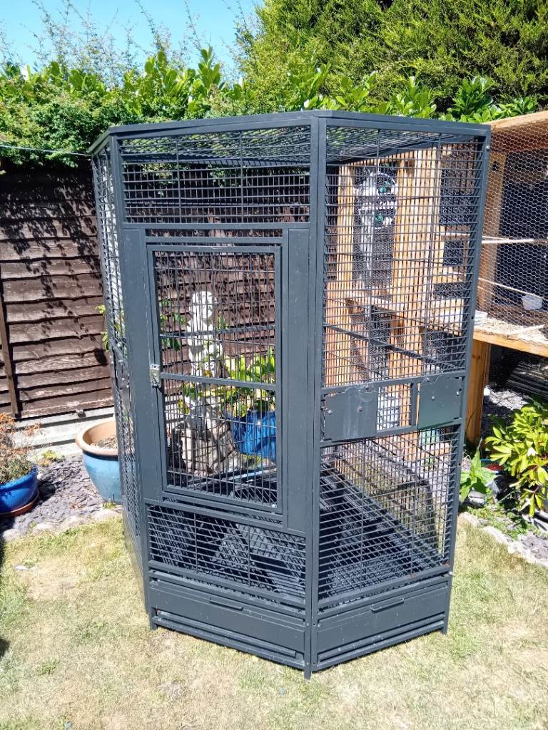Xxl corner parrot cage 