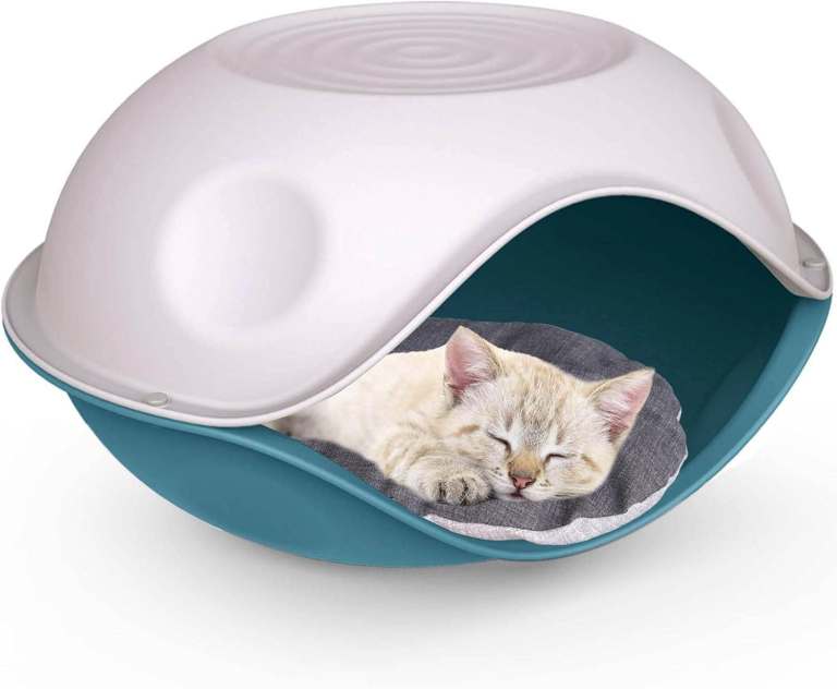 big outdoor cat bed + tall scratching post + hammock 