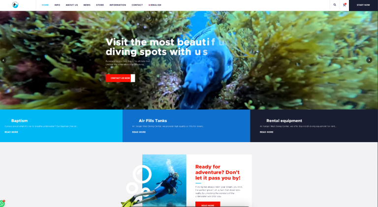 Professional Website & Design Services – Boost Your Business Today!