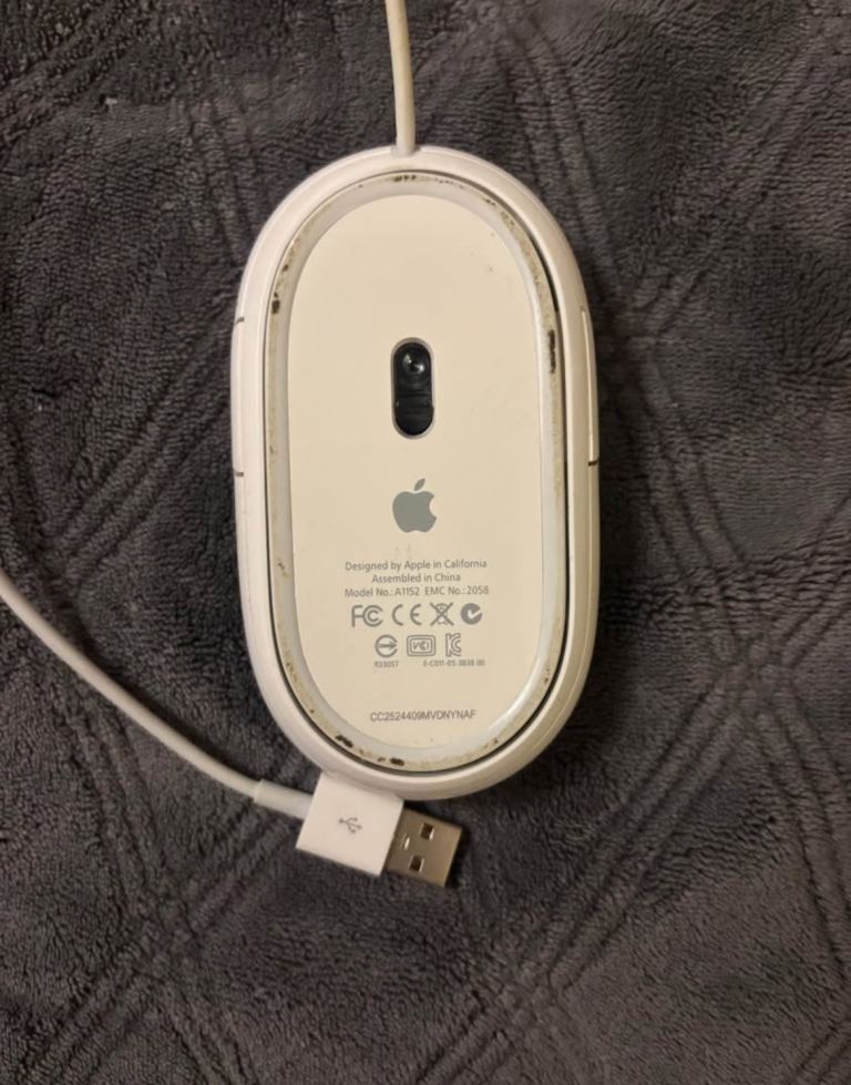 Apple usb mouse