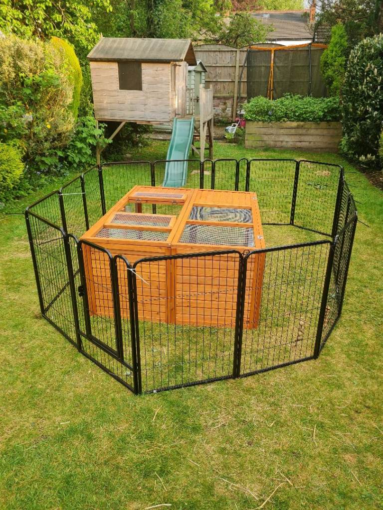 Rabbit run/enclosure for garden. Large