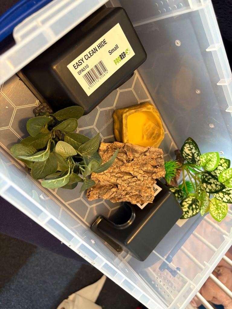 Snake starter kit with heat mat for reptile corn snake ball python hognose etc 